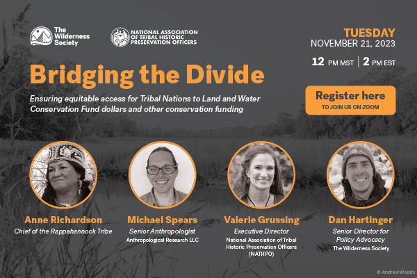 Thumbnail of webinar-bridging-divide.jpg