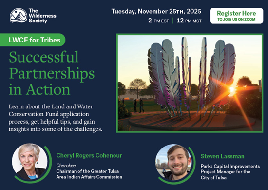 Thumbnail of webinar-partnerships.png